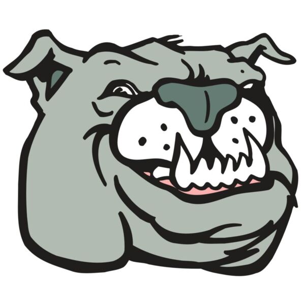 AR BDOG 44 RC Thumbnail